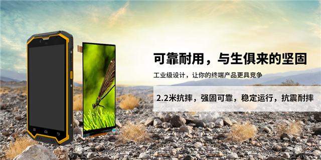 手持终端显示屏.jpg